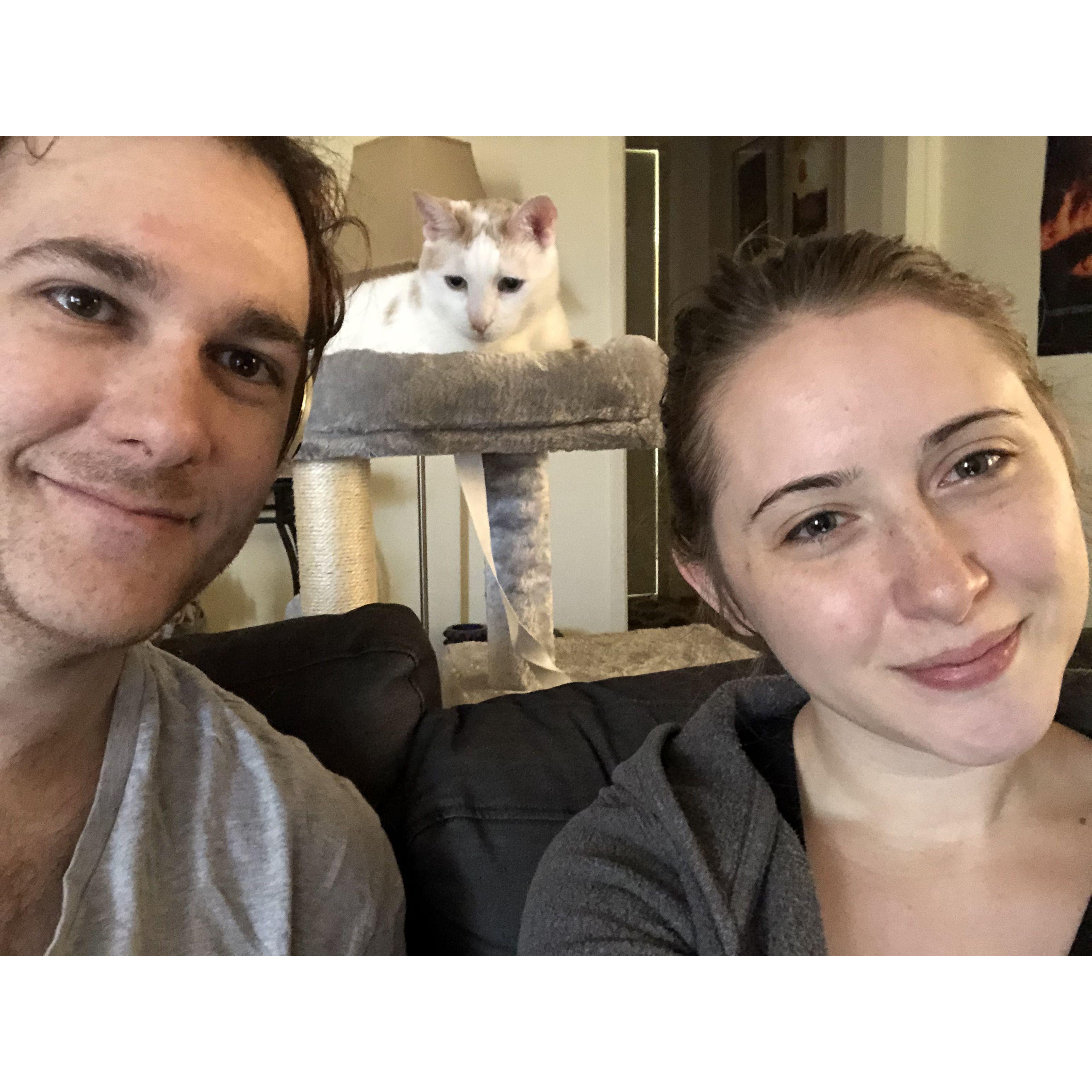 Welcoming our resuce cat, Oliver, into the family | February 2020