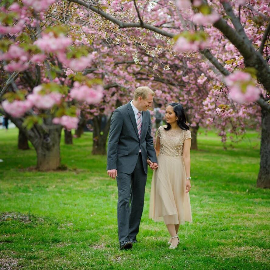 Kwanzan Cherry Blossoms at Hains Point | Washington, DC