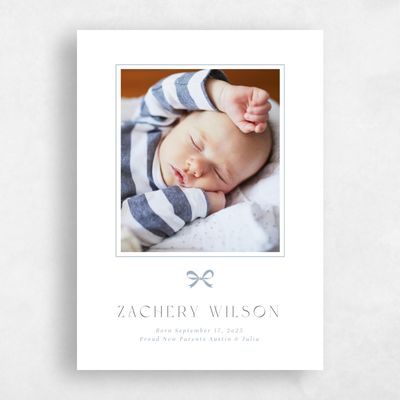 Powder Blue Holiday Card - Toile