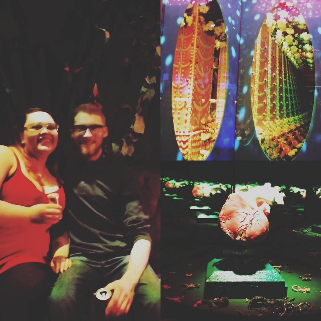 Meow Wolf 10th Anniversary Party 
2018