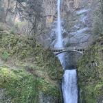 Multnomah Falls