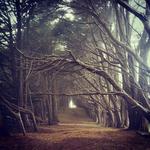 Explore Fitzgerald Marine Reserve