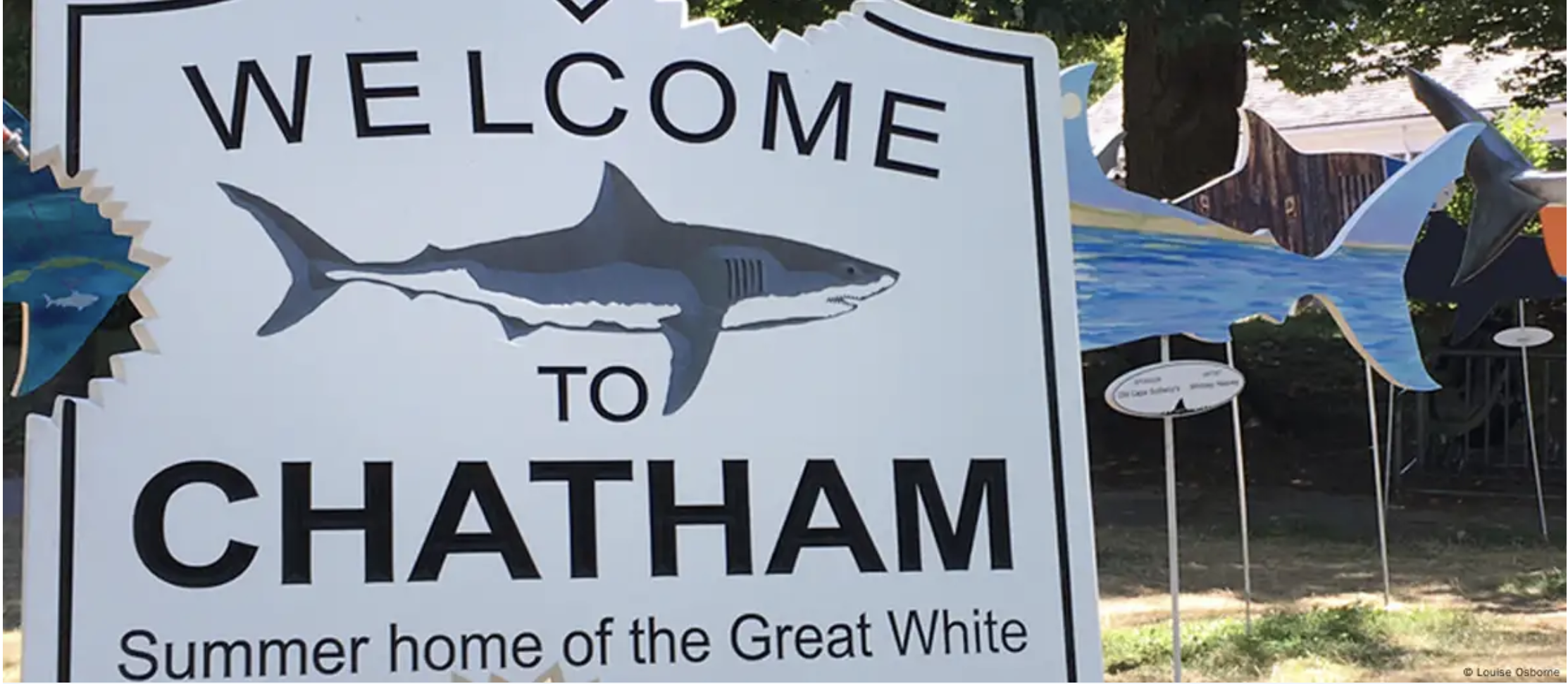 The Wedding Website of Jim Robinson and Beth Simpson