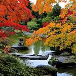 Washington Park Arboretum