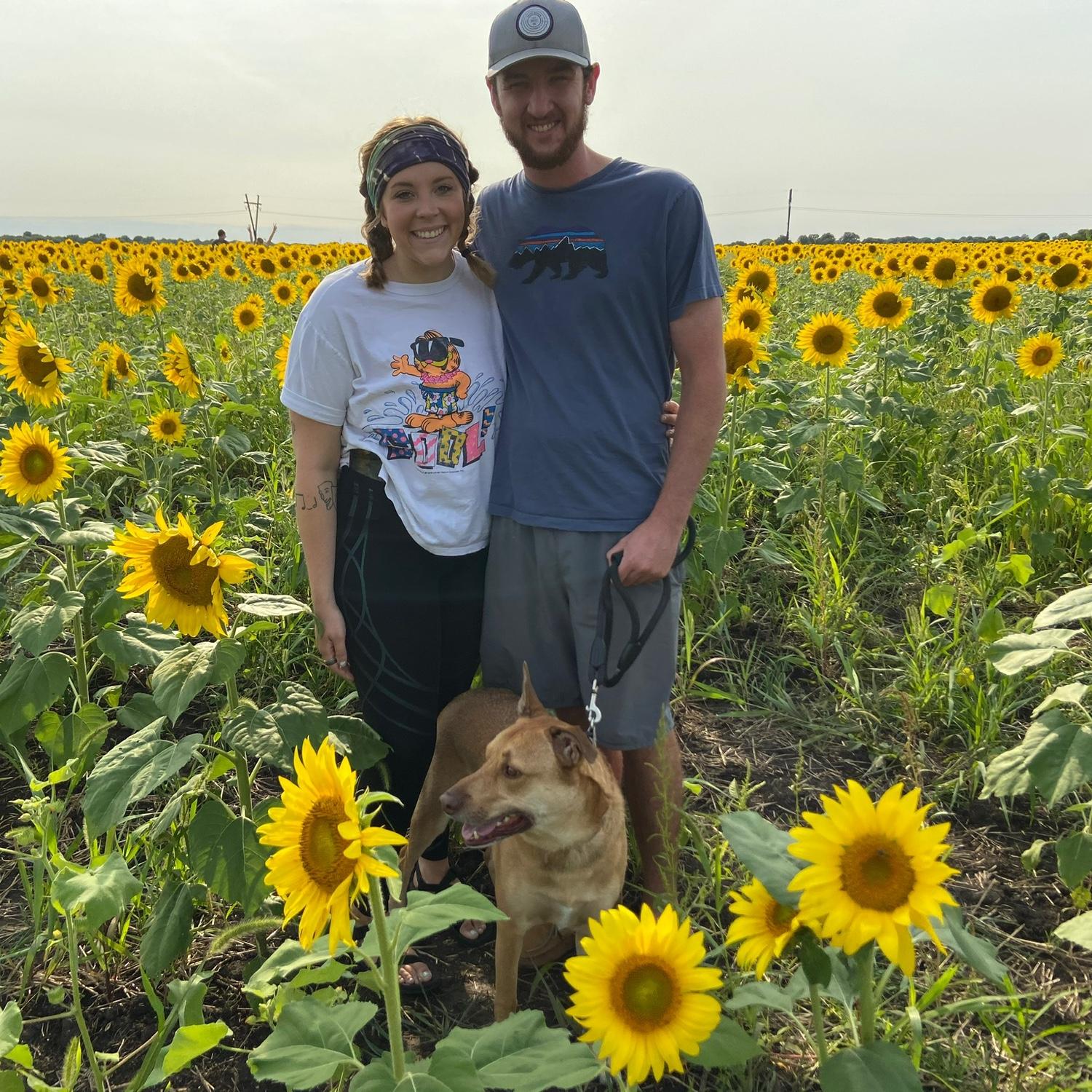 Cheesing in the sunflowers - September 2020 🌻