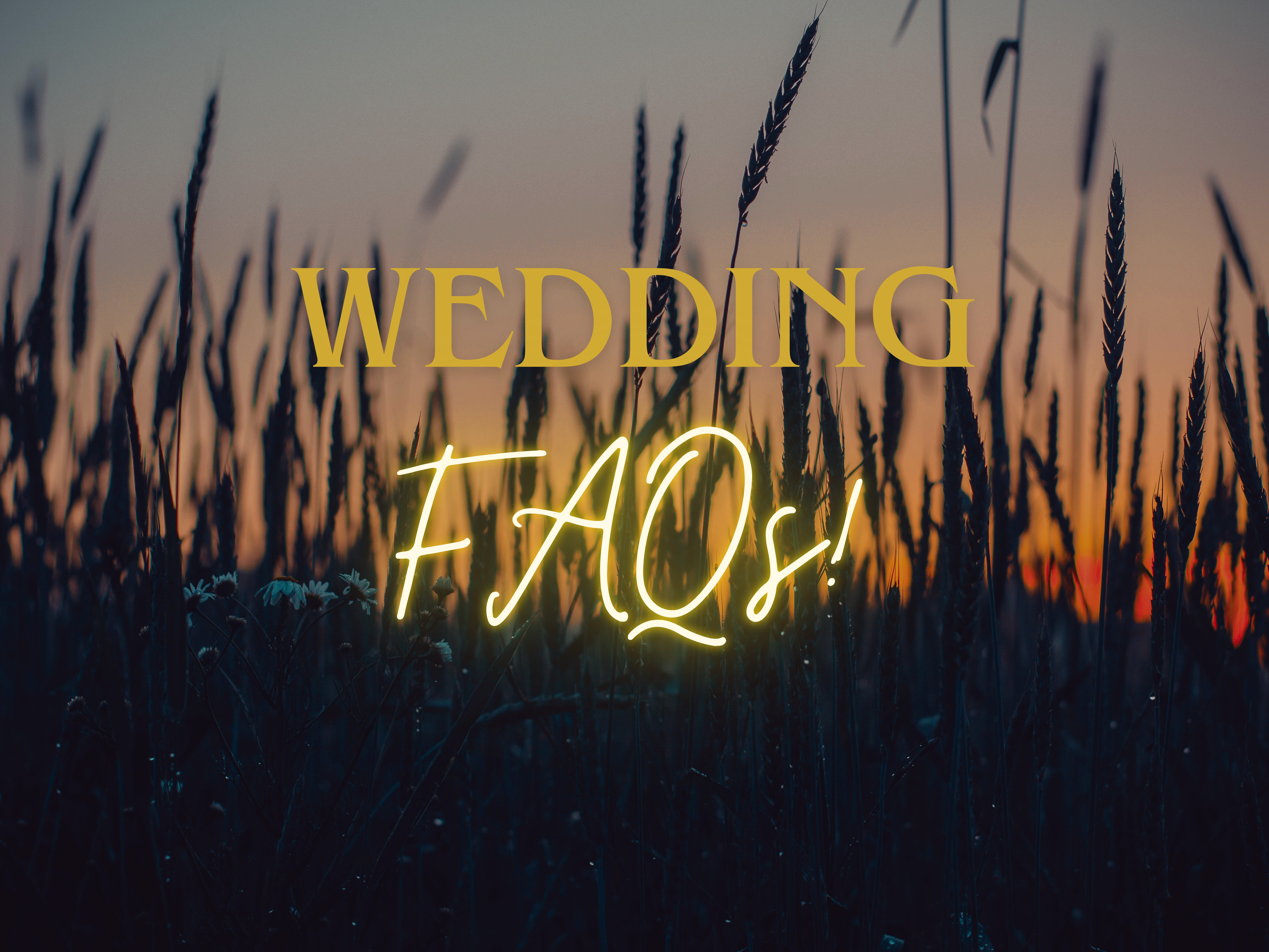 The Wedding Website of Nicole Swatek and Nathan Hicks