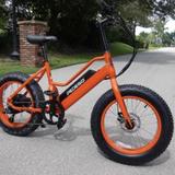 Pedego Fort Worth
