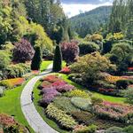 The Butchart Gardens