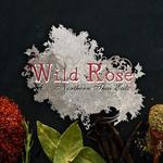 Wild Rose Northern Thai Eats
