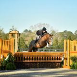 World Equestrian Center - Ocala