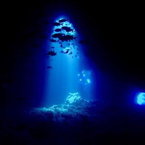 Lanai Cathedrals Scuba Diving Excursion