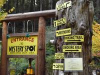 The Mystery Spot