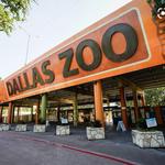 Dallas Zoo