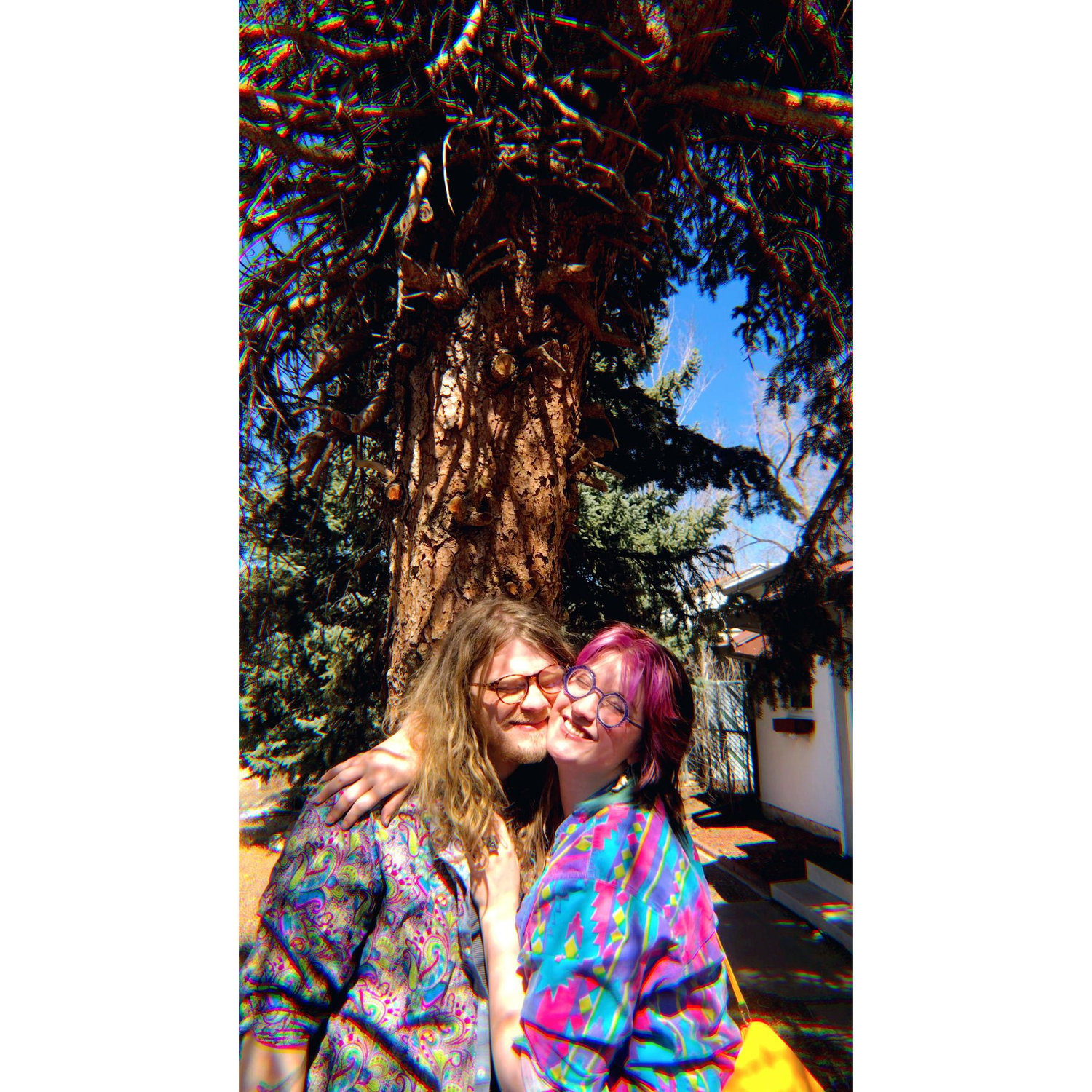 we cut that tree down like three weeks later cuz it was dead :(