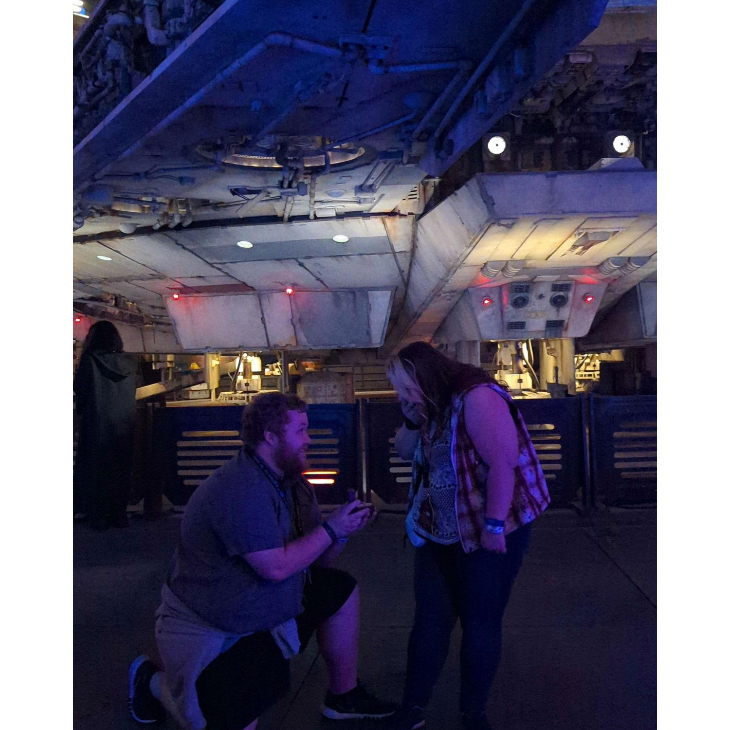 The purposal