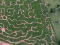 Ashe County Corn Maze and Pumpkin Festival