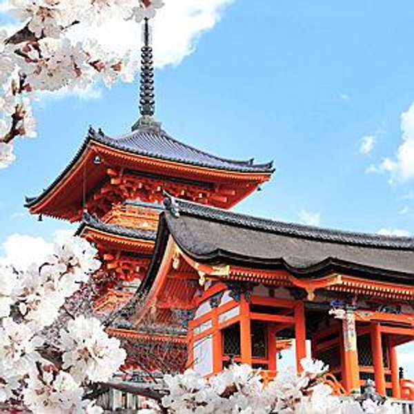 Japan Honeymoon Trip