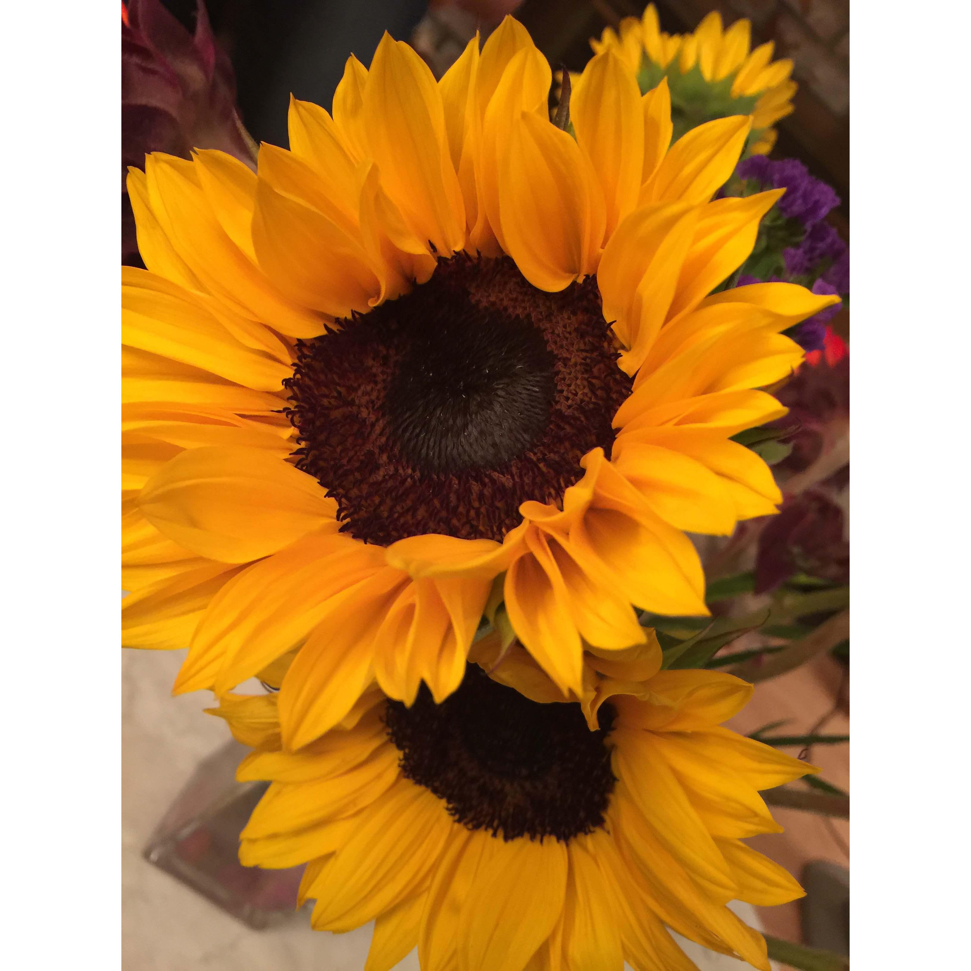One of the very first flowers Miro gifted to Tiffany