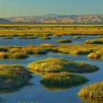 Wetlands & Wildlife Care Center