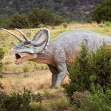 Royal Gorge Dinosaur Experience