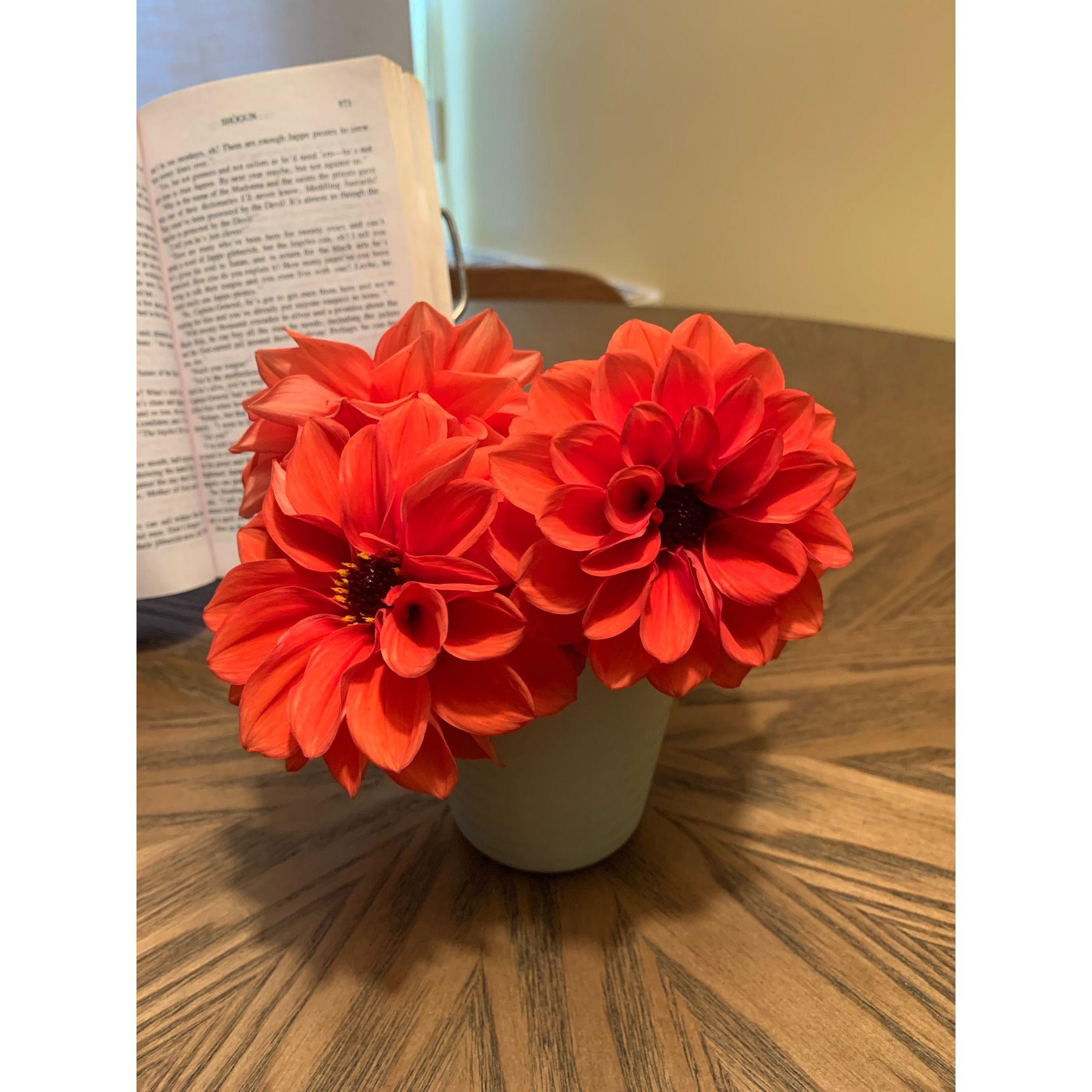 The first flowers gifted to Natalie from Michael 