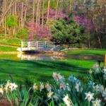Edith J. Carrier Arboretum