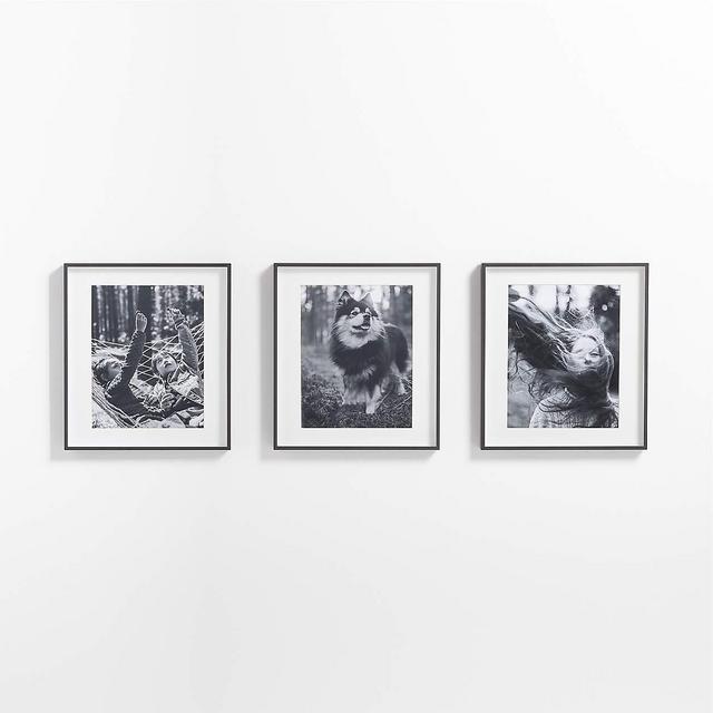 3-Piece Gallery Wall Frame Set