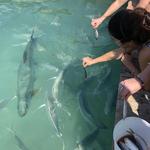 Robbie's of Islamorada