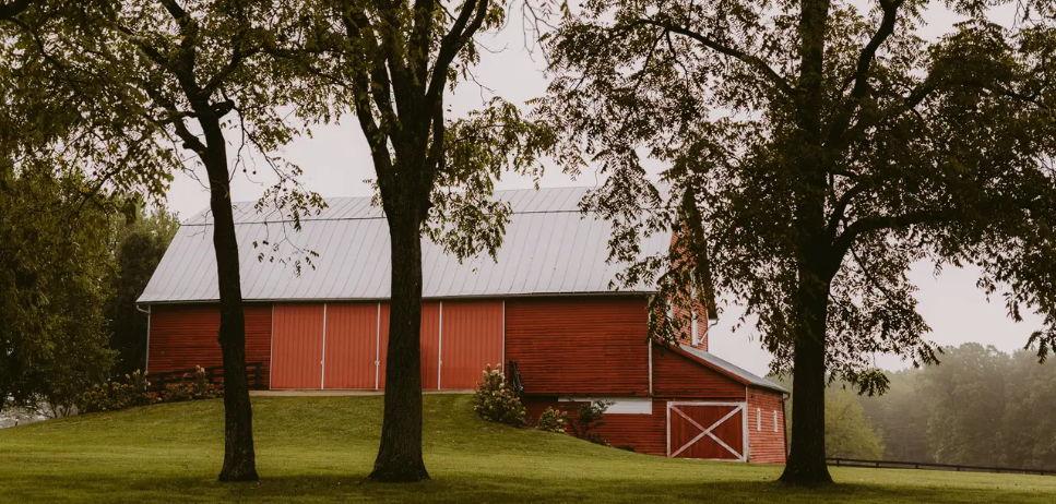The Wedding Website of Bernie McCabe and Rachael Heeschen
