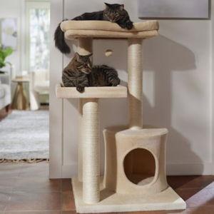 FRISCO 42-in Cat Tree & Condo, Cream - Chewy.com