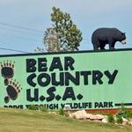 Bear Country USA