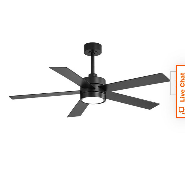 Ceiling fan
