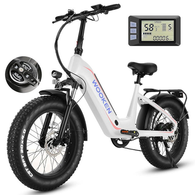Wooken Electric Bike for Adults, Peak 1000W Motor Ebike,20"x4.0" Fat Tire Electric Bike,48V 624WH Removable Lithium-ion Battery,Up to 60 Miles,Step-Thru Electric Mountain Bike,SGS Certified to UL 2849