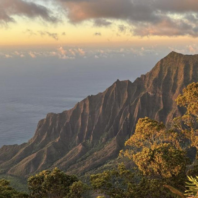 Kauai Honeymoon fund!