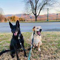 Can't forget to add some pics of our babies!