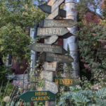 activity - edgefield