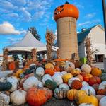 Goebbert's Farm Pingree Grove
