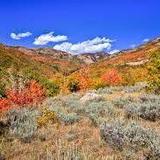Powder Mountain