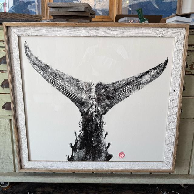 Tuna Tail Print (Framed)