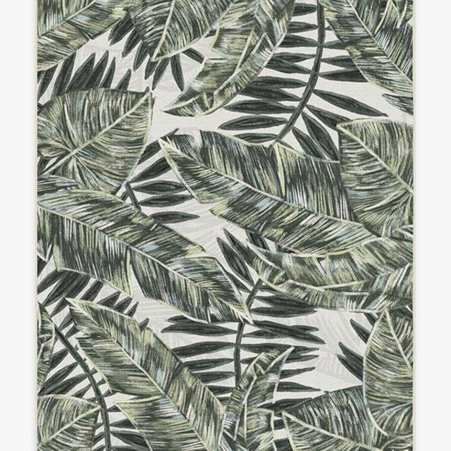 3' x 5' Outdoor Filifera Palm Green Rug