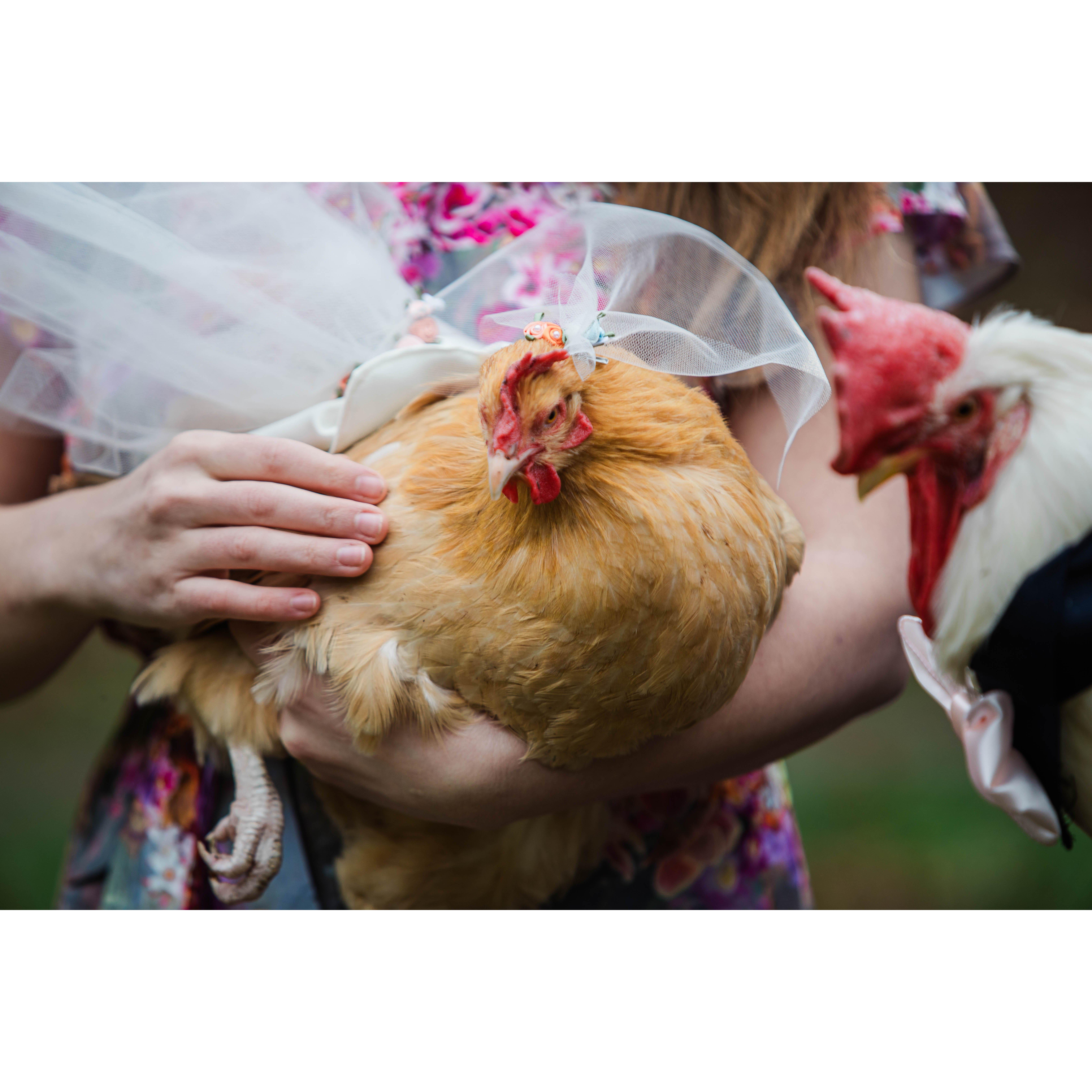 Lucille, sporting a custom-made bridal outfit designed & executed by Anna. We were almost late to the photoshoot because Lucille wanted to lay an egg like, RIGHT before we needed to leave. Typical.