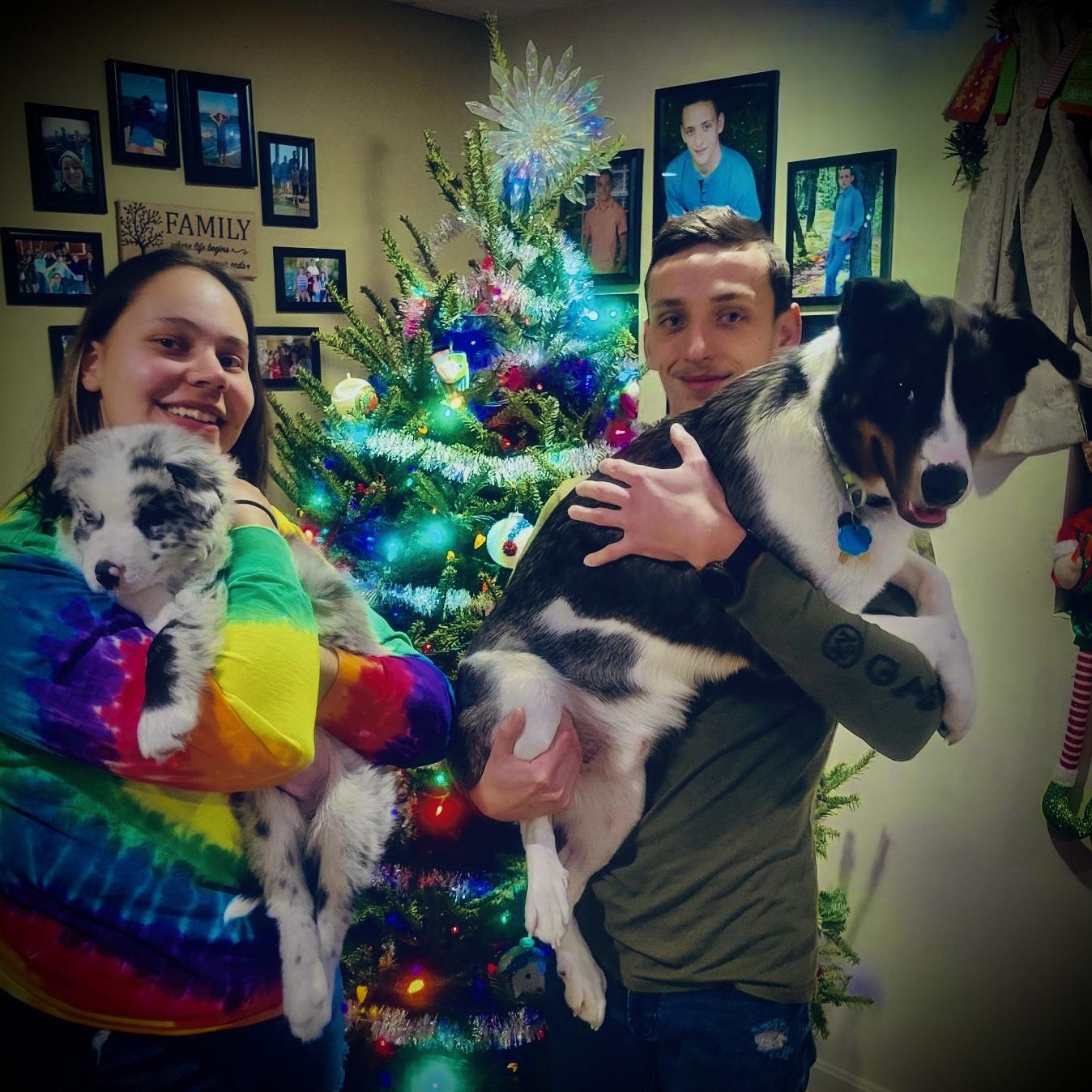 Second Christmas and added a new member of the family!