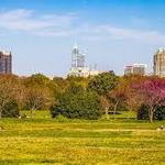 Dorothea Dix Park
