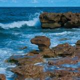 Coral Cove Park / Blowing Rocks Preserve