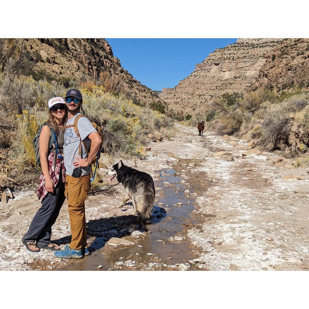 Hiking with wild horses around Little Books Cliff
