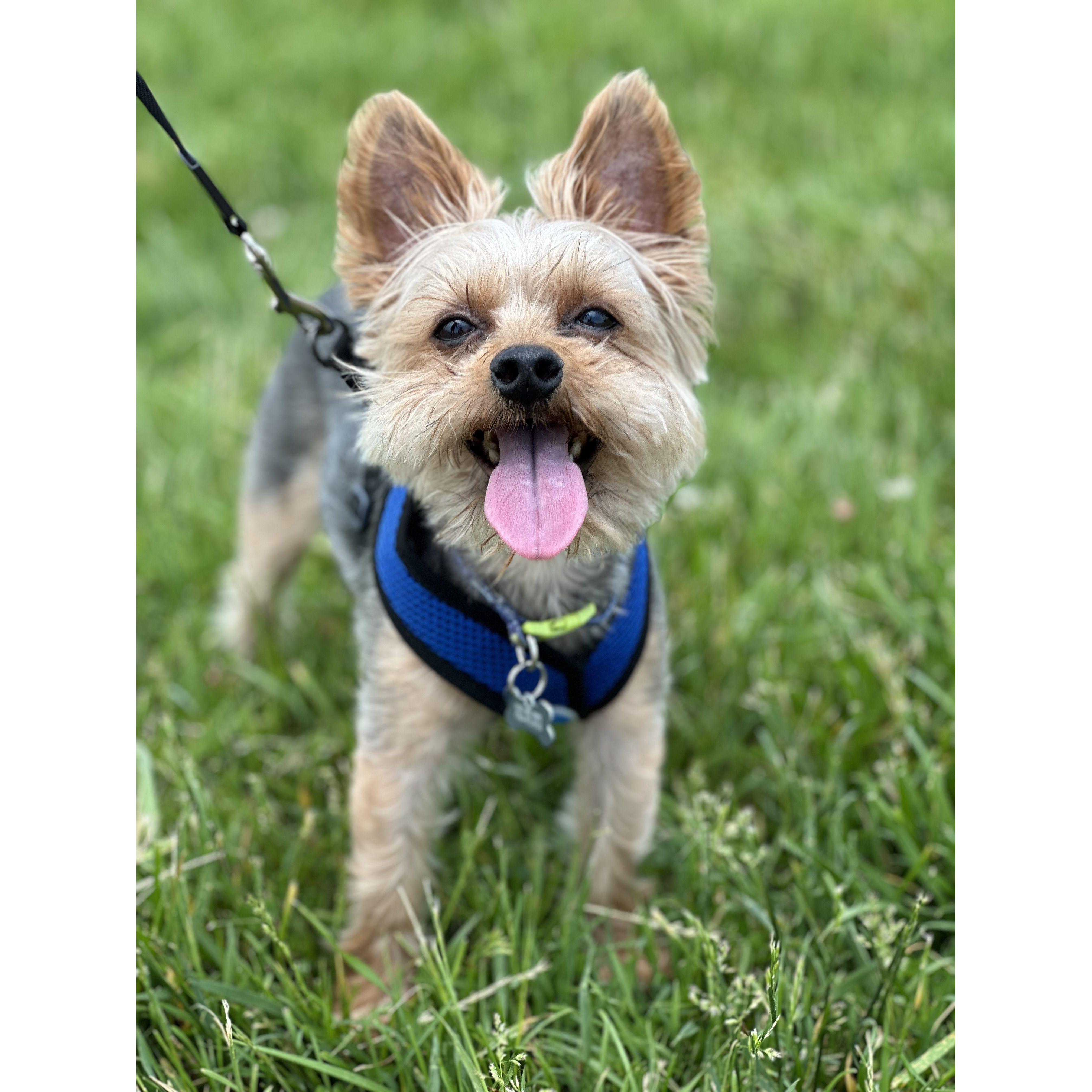 Can't forget our son Tyrion! (or little T, or Chich... lots of names)