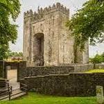 Bunratty Castle & Folk Park