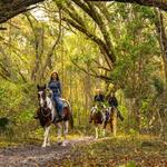 Horseback Riding