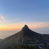 Lions head