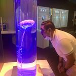 Perot Museum of Nature and Science